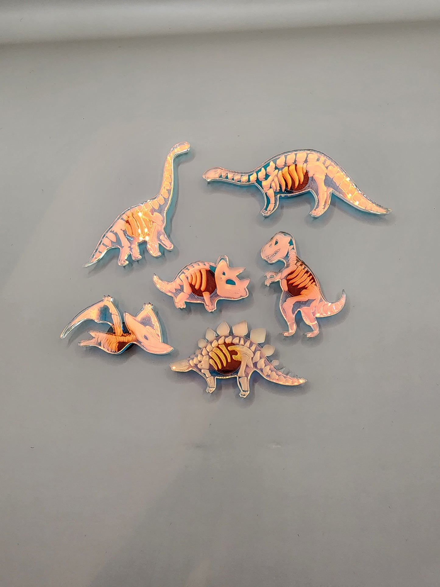 Skeleton Dino Magnet Set